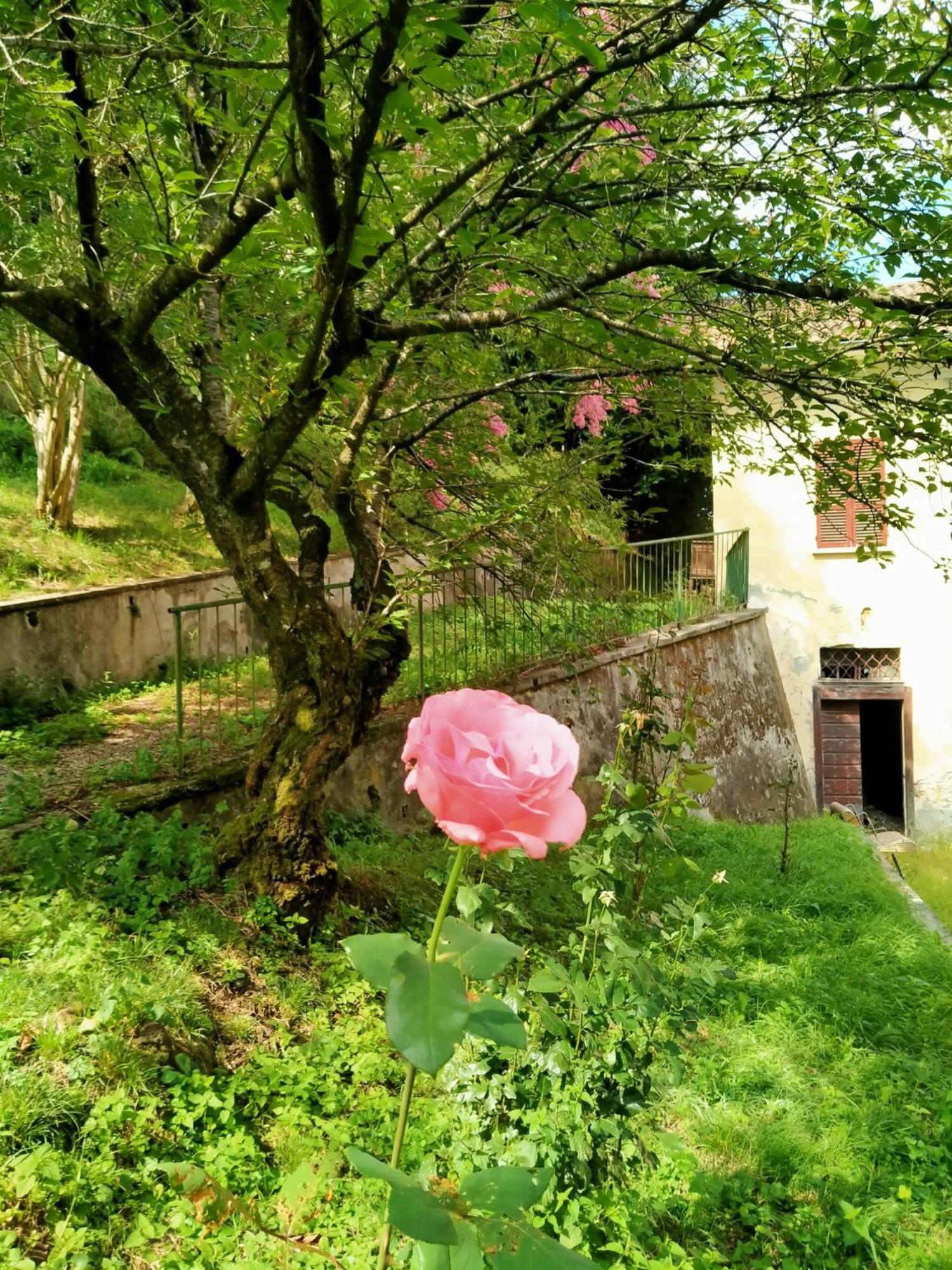 Casa Valduggia Panzió Kültér fotó
